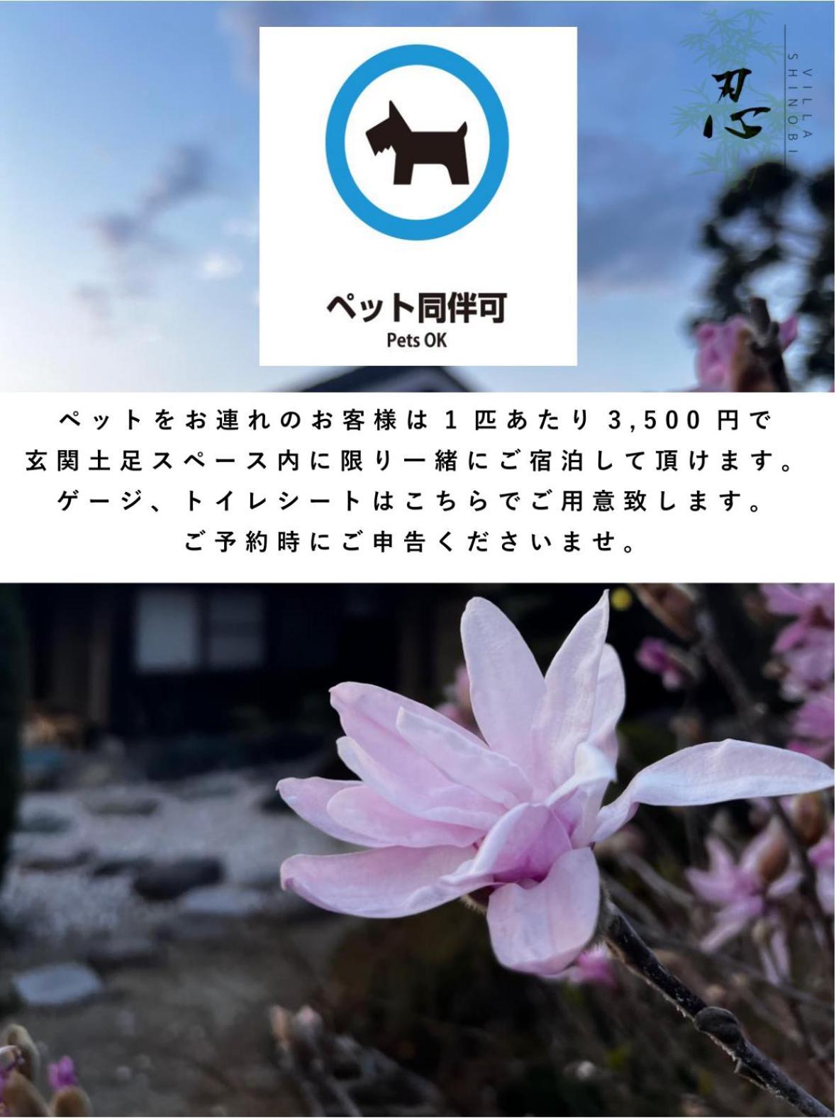 Villa Shinobi -忍- Hinase Ngoại thất bức ảnh