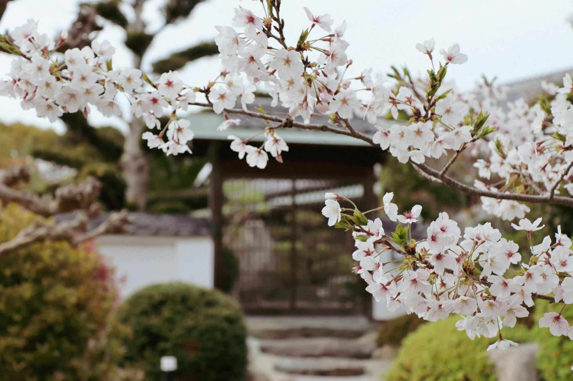 Villa Shinobi -忍- Hinase Ngoại thất bức ảnh